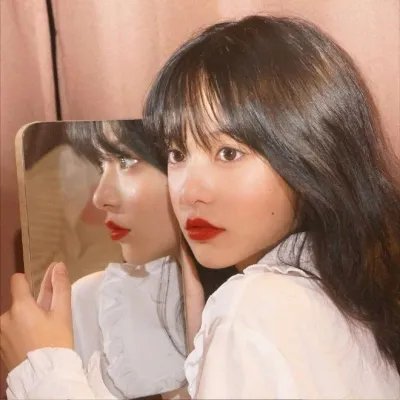 老柿子树